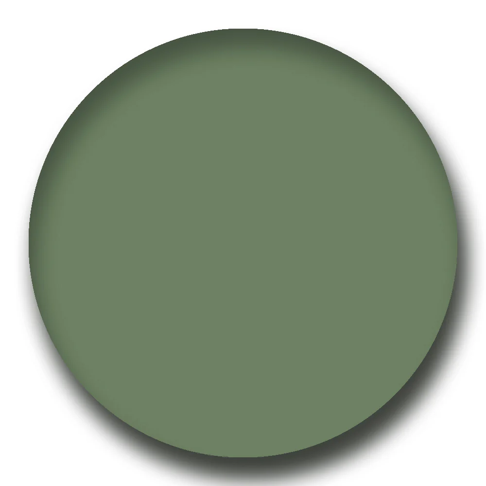 Sunglasses Lens Tint - Image 12