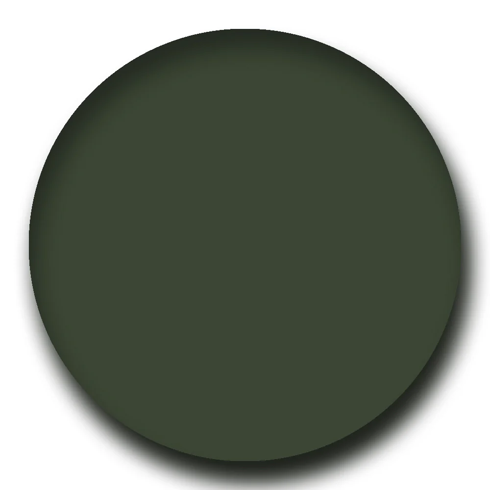 Sunglasses Lens Tint - Image 4