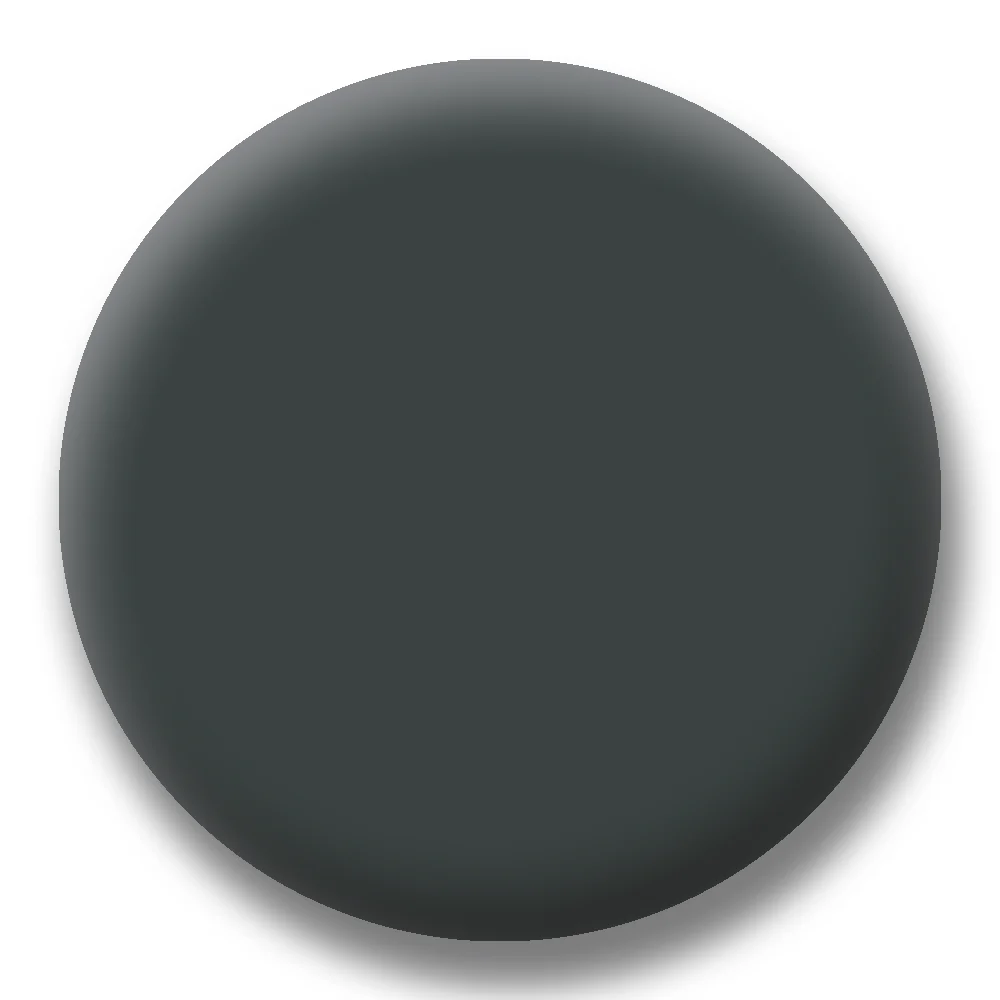 Standard Photochromic Lens - Image 3